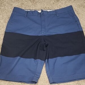 Volcom Monty Block Short 31 NWT Blue and Black Striped Shorts. Blue